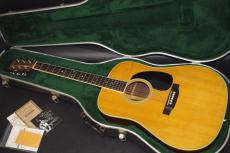 Martin D-35_2