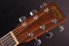 Martin D-35_4