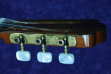 ASTURIAS CUSTOM-S オール単板_5