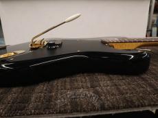Bill Lawrence OBC0 R-55G_11