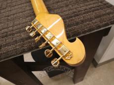 Bill Lawrence OBC0 R-55G_17