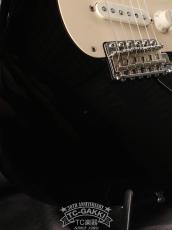 Fender Custom Shop 2003 Clapton Stratocaster by Todd krause_9