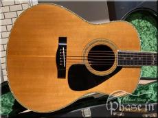 YAMAHA L-55 CUSTOM 1981 / L.R.Baggs Lyric P.U. /  Jacaranda_2