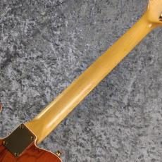 FREEDOM CUSTOM GUITAR RESEARCH RS-TE F-90 ~Orange~ 【3.49kg】【2017年製USED】_8