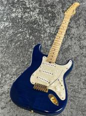 Sadowsky 【決算目玉品】Modern Edge Strato TBL  【2012'sUSED】【生産終了モデル】_2