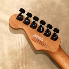 Charvel Pro-Mod Plus Dinky® DK24 HH HT EB, Black Ash_5