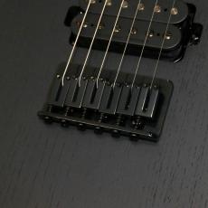 Charvel Pro-Mod Plus Dinky® DK24 HH HT EB, Black Ash_7