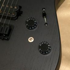 Charvel Pro-Mod Plus Dinky® DK24 HH HT EB, Black Ash_8