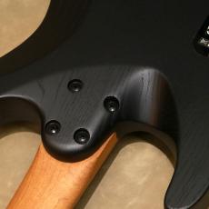 Charvel Pro-Mod Plus Dinky® DK24 HH HT EB, Black Ash_10