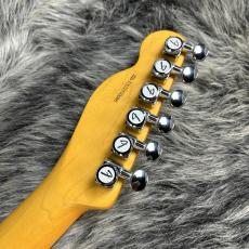 NO BRAND Component TL Type Fender AM PROⅡ Neck&Warmoth Body / Lake Placid Blue_9