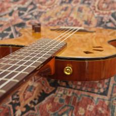 Cordoba Stage Guitar Traditional CD_5
