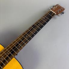Martin 000JR-10E SHAWN MENDES_3