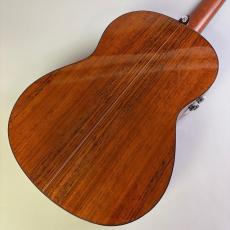 YAMAHA CG-TA_5