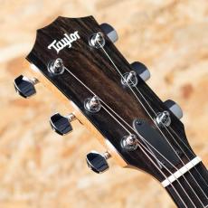 Taylor 212ce_8
