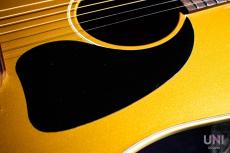 Gibson J-45 Gold Top / 2010_6
