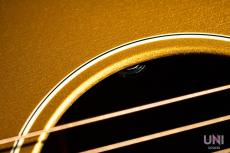 Gibson J-45 Gold Top / 2010_7