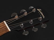 Eastman PCH1-GACE-CLA_3