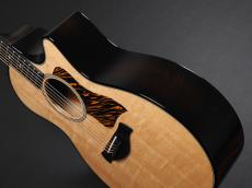Taylor Builder's Edition 514ce ~Natural~_13