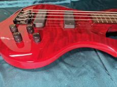 ESP TFRII See Thru Red _7