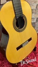 Paco Castillo パコ・カスティージョ Model:204 松・ローズウッド_3