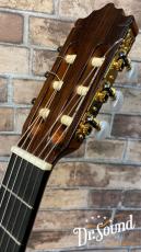 Paco Castillo パコ・カスティージョ Model:204 松・ローズウッド_6