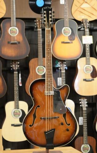 GOLD TONE Mandocello with Pickup