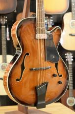 GOLD TONE Mandocello with Pickup_3