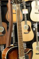 GOLD TONE Mandocello with Pickup_4