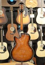 GOLD TONE Mandocello with Pickup_6