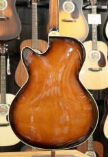 GOLD TONE Mandocello with Pickup_7