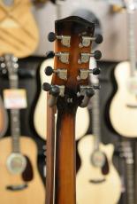 GOLD TONE Mandocello with Pickup_8