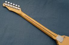 RS Guitarworks TeeVee Standard "Ash Body" Between Medium and Heavy -Butterscotch Blonde- #RS425-2_11