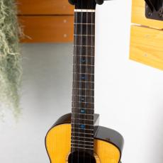 aNueNue aNN-UC330_5