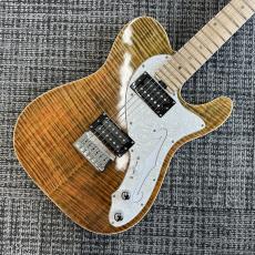 Triadz Custom Guitar TL-Modern Custom