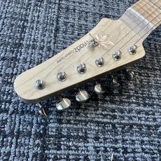 Triadz Custom Guitar TL-Modern Custom_4