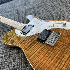 Triadz Custom Guitar TL-Modern Custom_6
