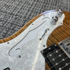 Triadz Custom Guitar TL-Modern Custom_8