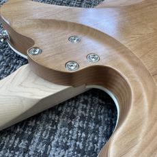Triadz Custom Guitar TL-Modern Custom_10