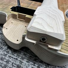 Triadz Custom Guitar TL-Modern Custom_12
