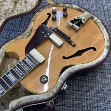 Ibanez GB10 Gorge Benson 1986年 フジゲン製_5
