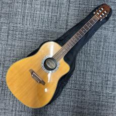 ARIA AMB-50C N_2