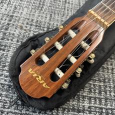 ARIA AMB-50C N_4