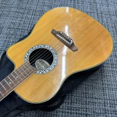 ARIA AMB-50C N_6