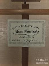 Juan Hernandez [ホアン・エルナンデス] 2023年製 SAMBA Cutaway 松・シカモア【日本総本店2F 在庫品】_4
