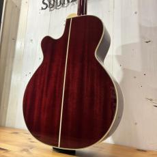 Takamine DMP551C WR / Contact PU #63090347【無金利分割OK】【Dr.Sound】_3