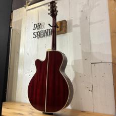 Takamine DMP551C WR / Contact PU #63090347【無金利分割OK】【Dr.Sound】_4