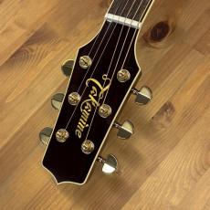 Takamine DMP551C WR / Contact PU #63090347【無金利分割OK】【Dr.Sound】_7