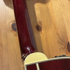 Takamine DMP551C WR / Contact PU #63090347【無金利分割OK】【Dr.Sound】_10