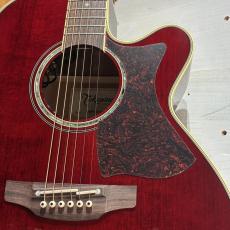 Takamine DMP551C WR / Contact PU #63090347【無金利分割OK】【Dr.Sound】_11