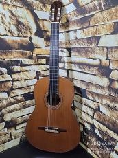 Marcelino Lopez マルセリーノ・ロペス 1977年製 杉・ローズウッド【日本総本店2F 在庫品】_2